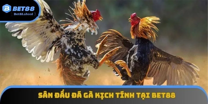 Đá gà Bet88 là gì? Vì sao thu hút hàng triệu người chơi tham gia trải nghiệm mỗi ngày?